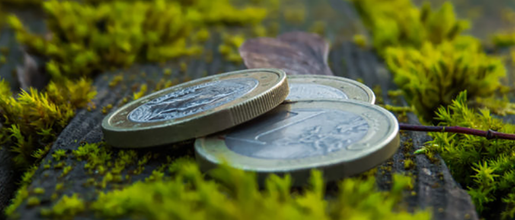 Movilizando financiamiento verde