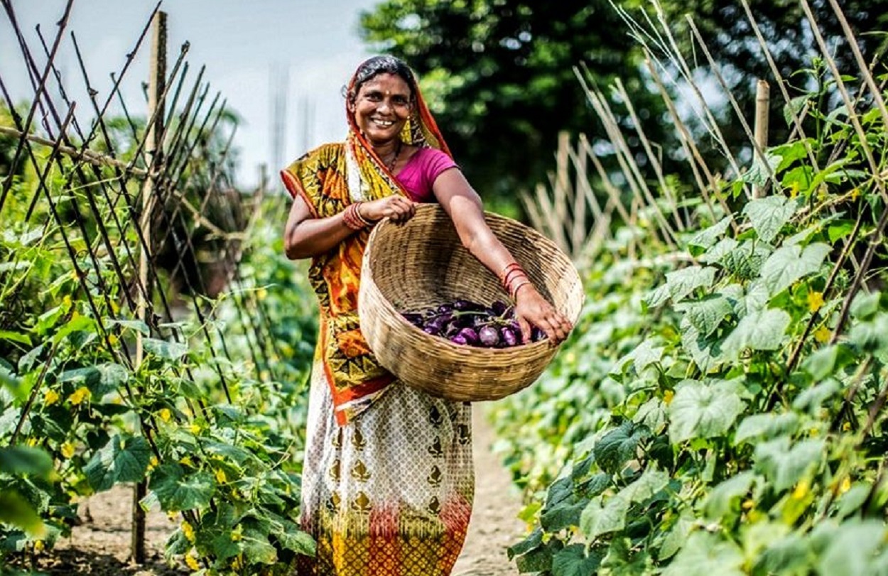 93211-environment-green-economy-1