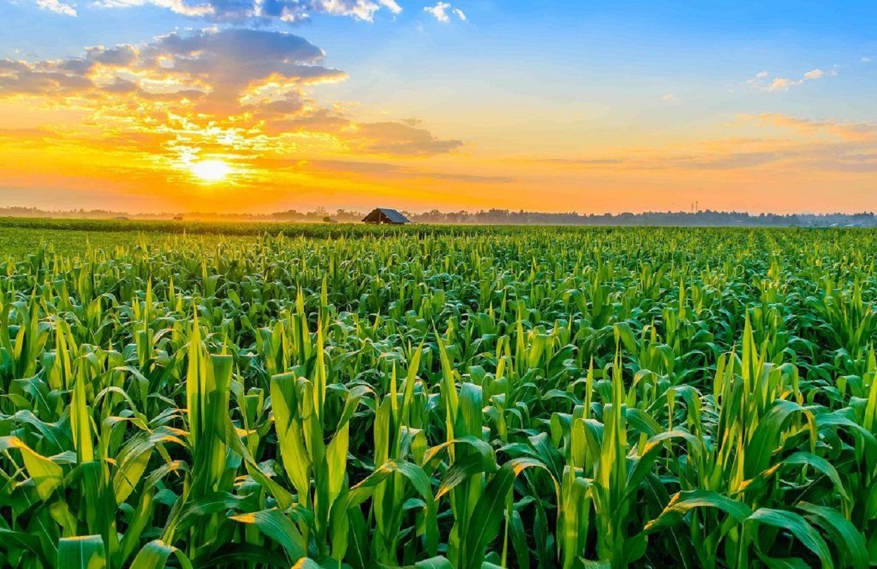 Agricultura-MONTANA-1-1024x640