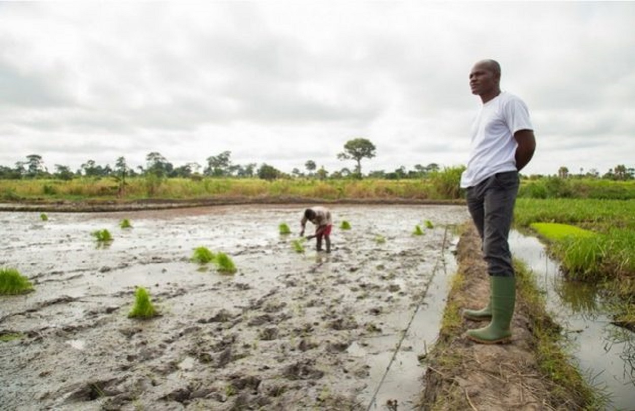 Agric_clima_Afr_BM_Dasan_Bobo_1-629x421