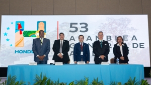 noticias web alide (11)
