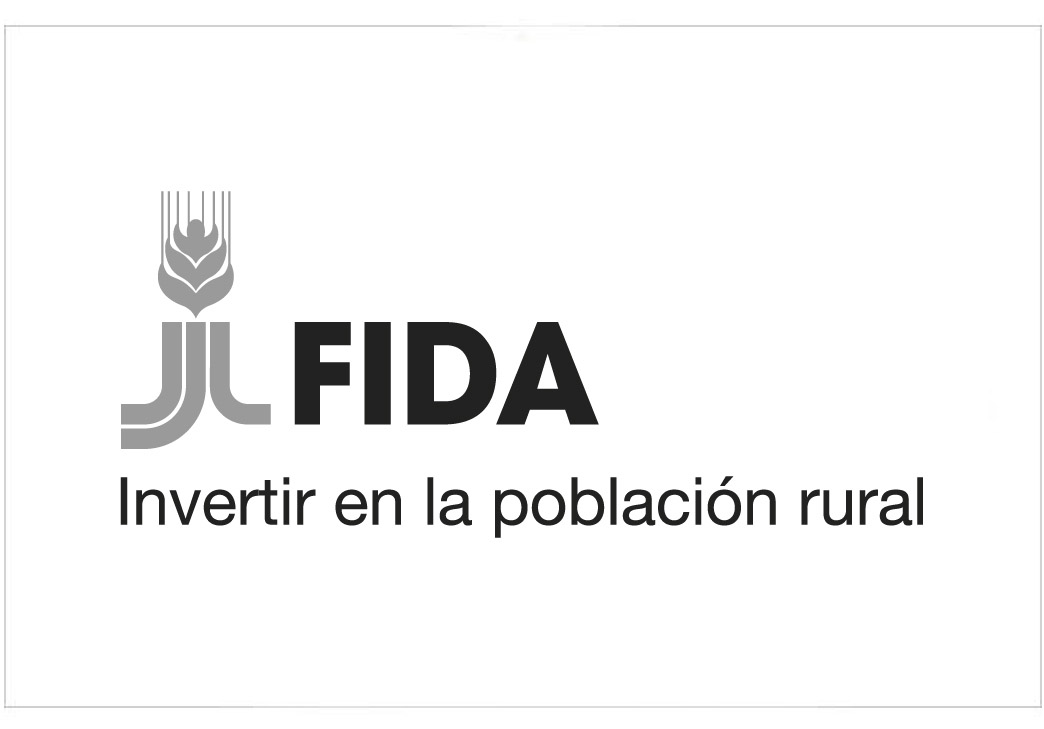 FIDA plataforma-01-01