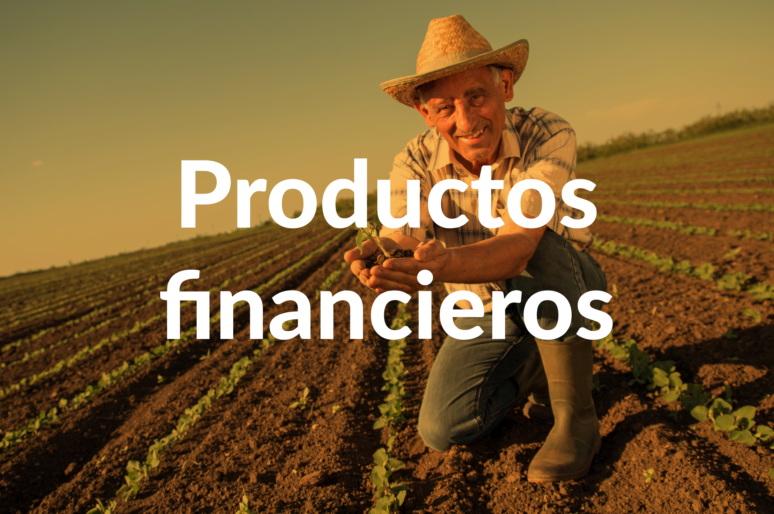 MEJORES-PRÁCTICAS_Mesa-de-trabajo-1